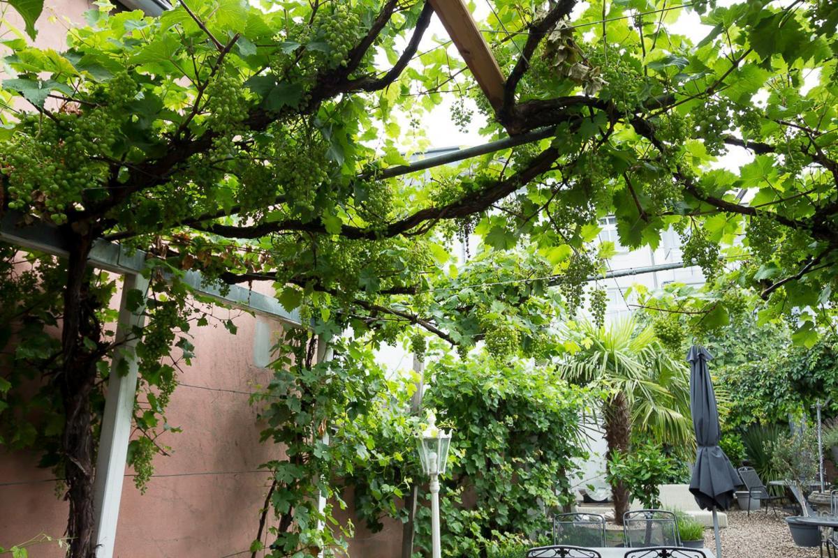 Hotel Garni Landhaus Zur Issel Isselburg Ngoại thất bức ảnh